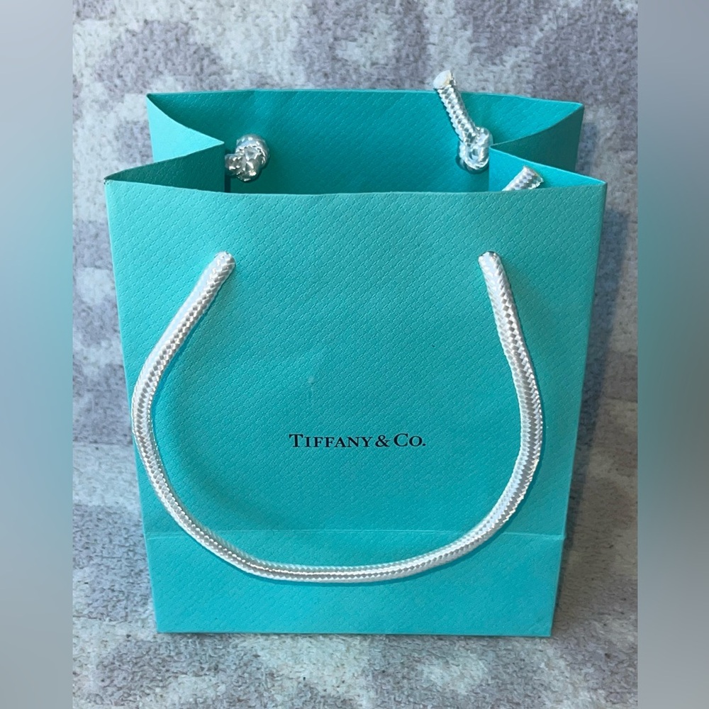 Tiffany & Co. Bag for Gifts